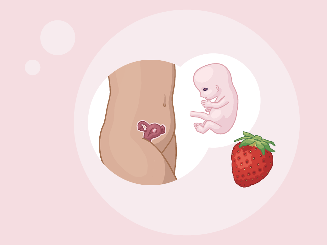 Baby ein im mutterleib mit einer erdbeere auf dem bauch.