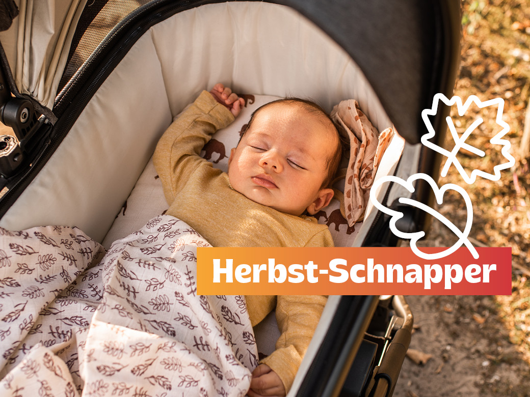 Herbst-Schnapper! Baby liegt im Kinderwagen unter einer Decke mit Blättern drauf. Hintergrund: gold-gelbe Natur. 