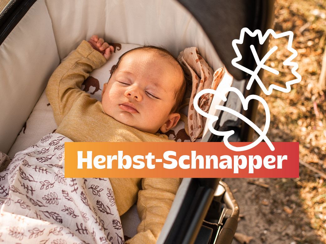 Herbst-Schnapper! Baby liegt im Kinderwagen unter einer Decke mit Blättern drauf. Hintergrund: gold-gelbe Natur. 