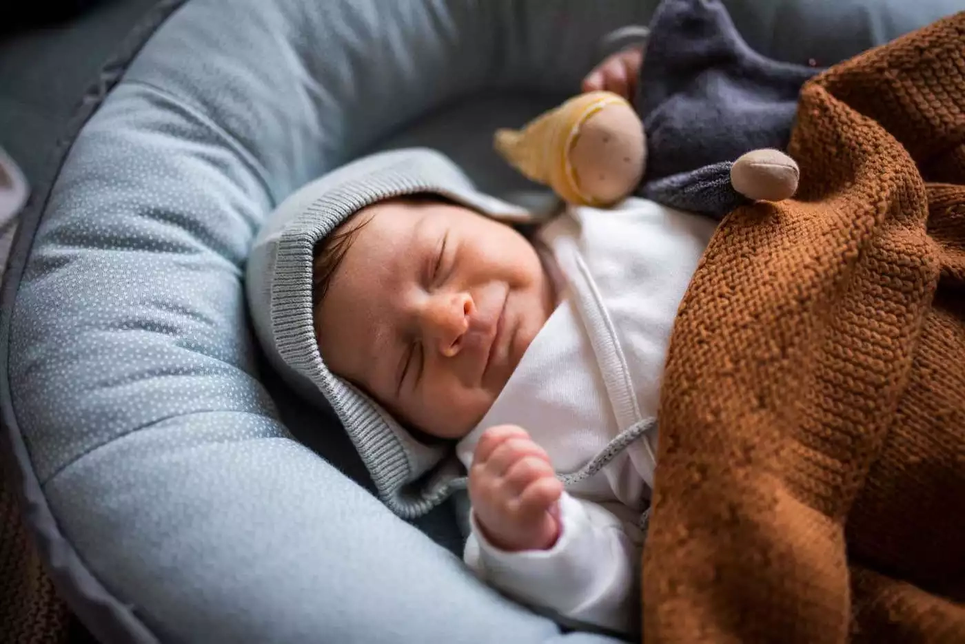 Baby ein schläft in einem korb mit einem ausgestopften tier.