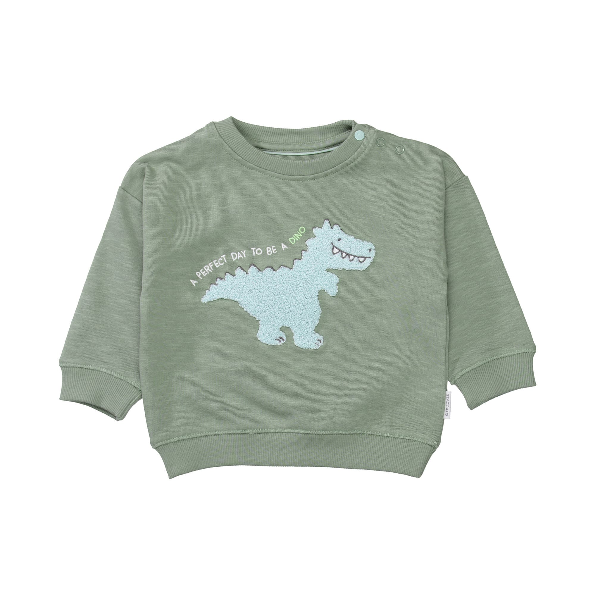 Pullover & Sweatshirts, STACCATO, Grün – Produktansicht