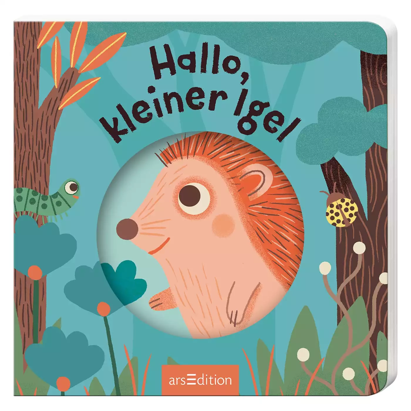 Kinderbücher, arsEdition, Blau – Produktansicht