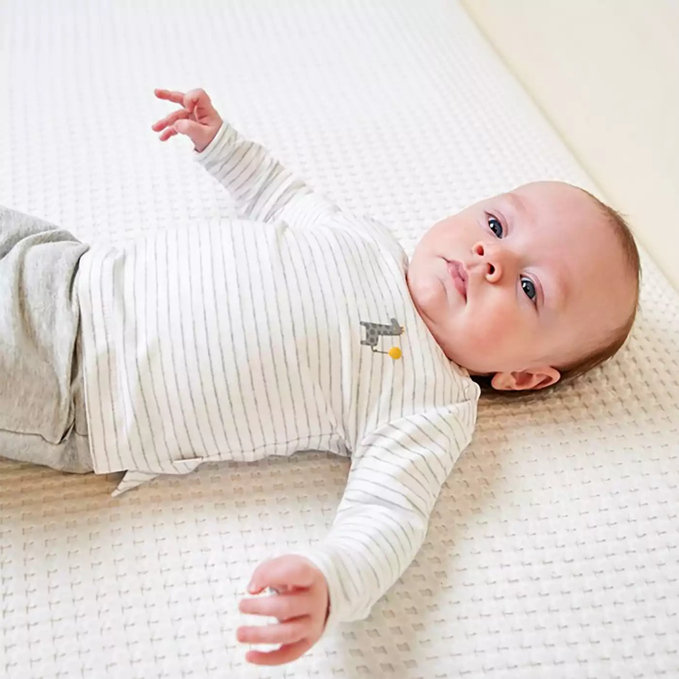 Langarmshirts, FEETJE, Grau – Produktansicht