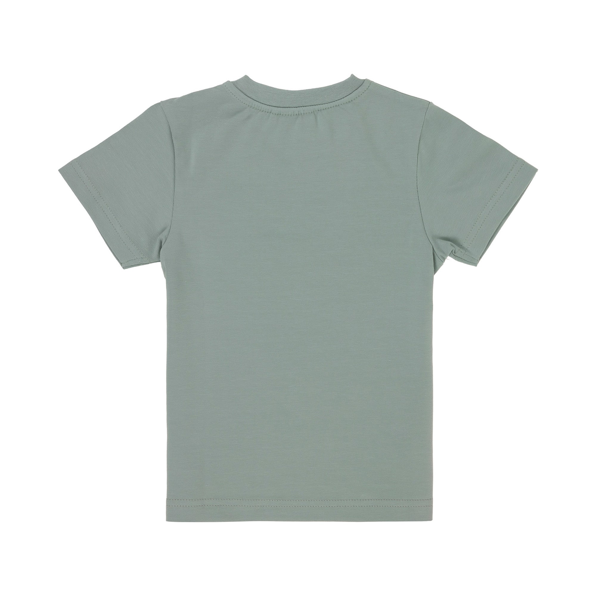 Kurzarmshirts, LÄSSIG, Grün – Besonderheit: aus 95% Baumwolle