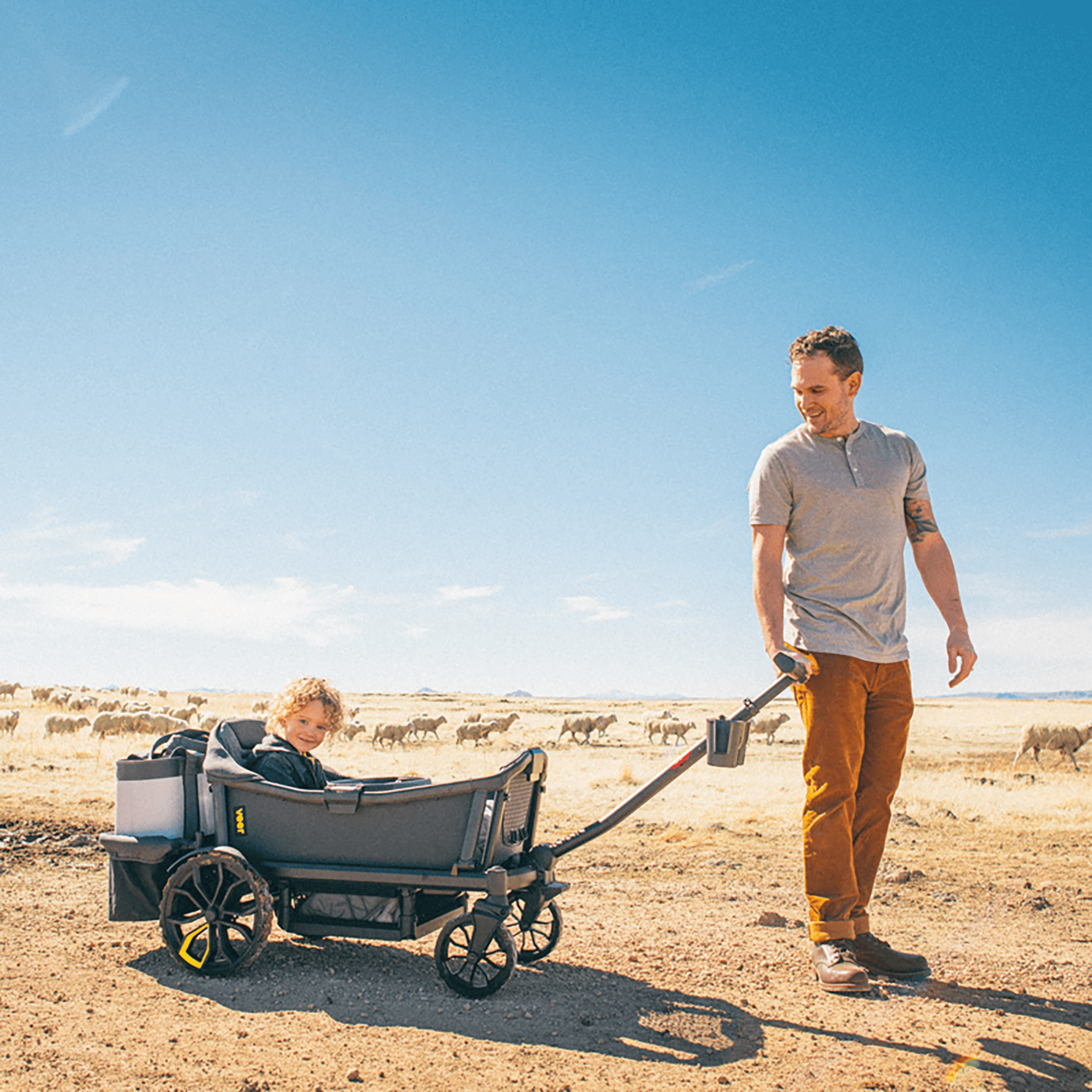 Bollerwagen, VEER, Grau – Produktansicht