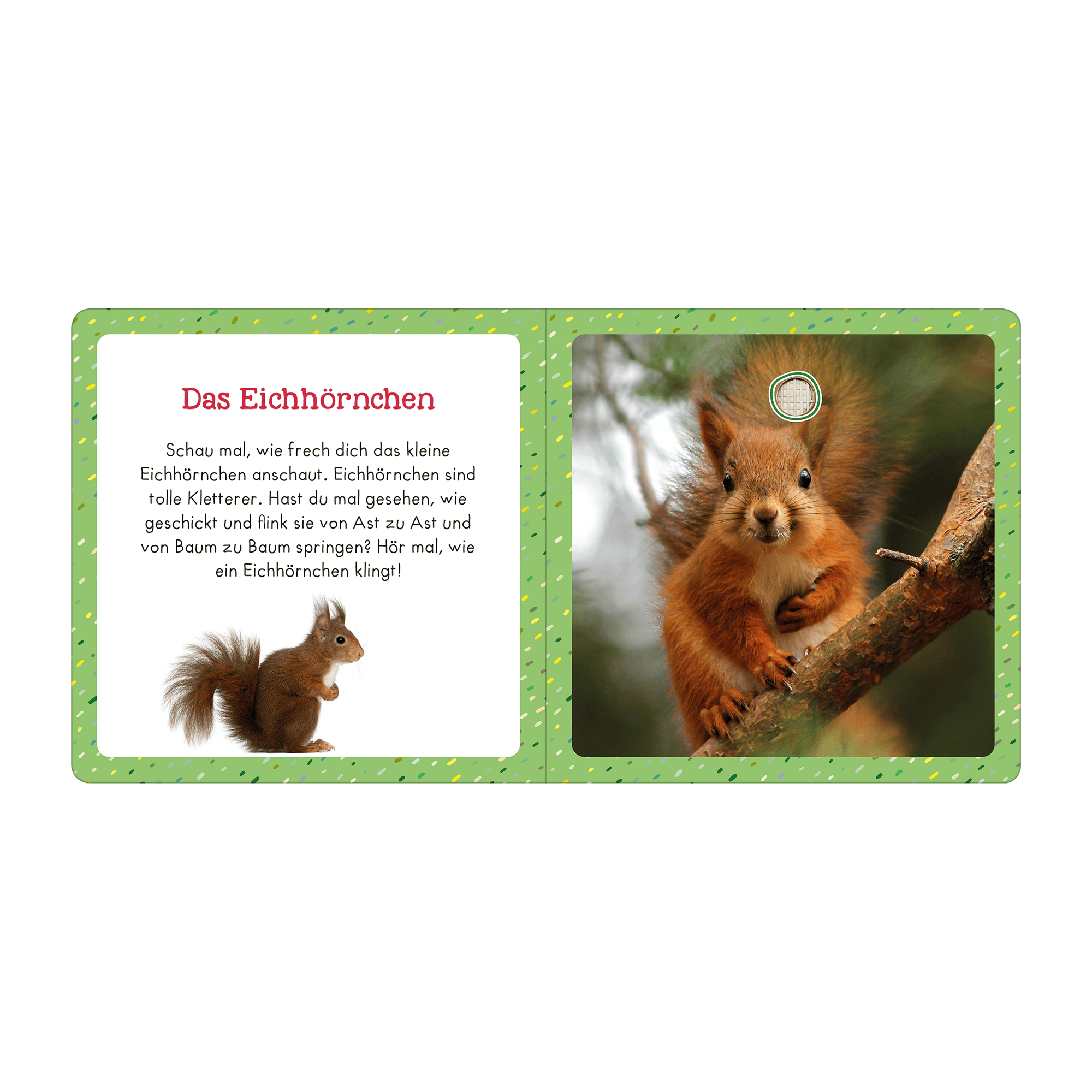 Soundbücher, arsEdition, Mehrfarbig – Produktansicht
