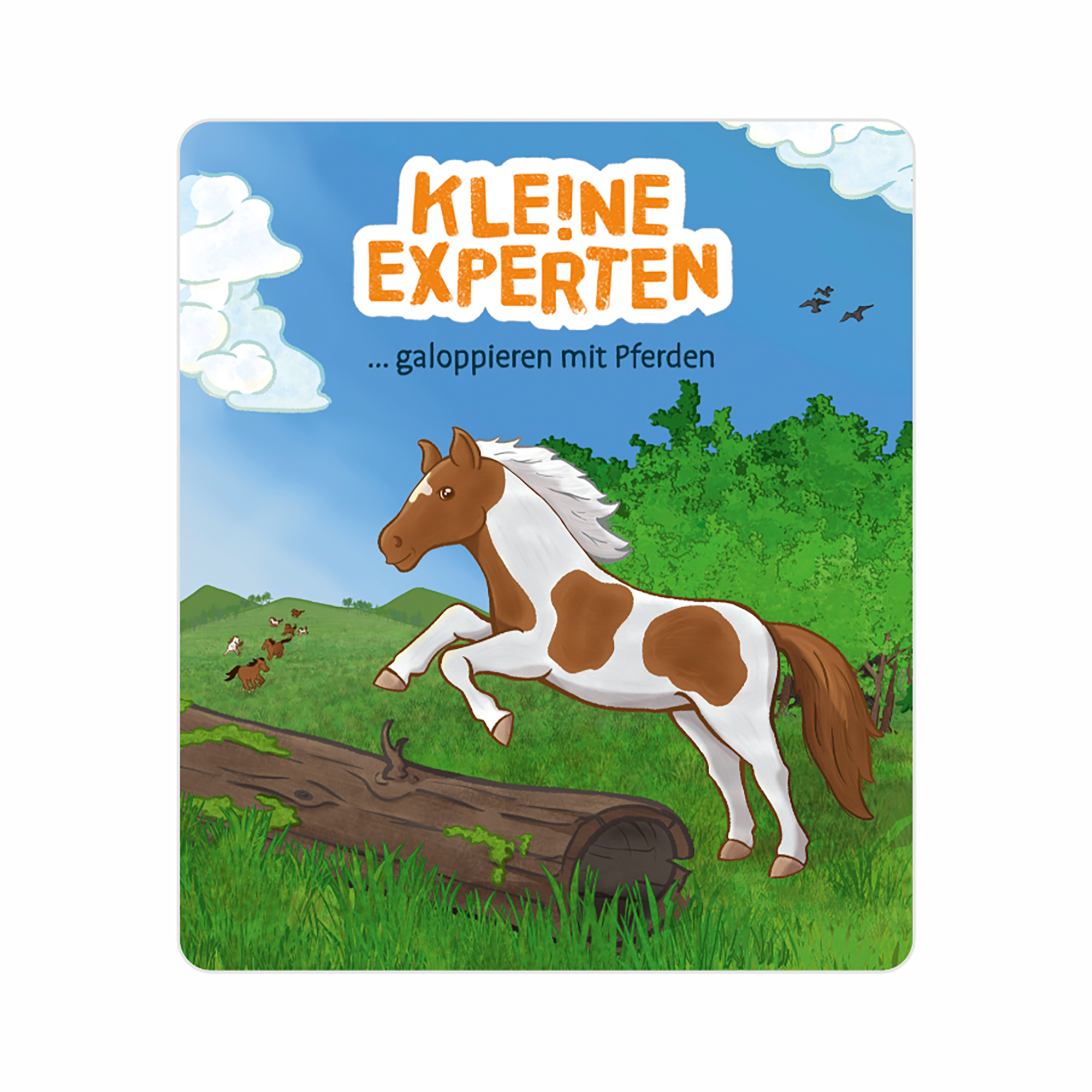 Tonies® Figuren, tonies, Mehrfarbig – Produktansicht