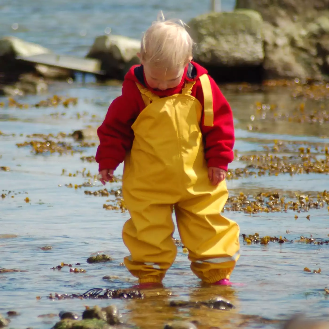 Matschhosen Größe 86, BMS, Gelb – Besonderheit: 100% wasserdicht