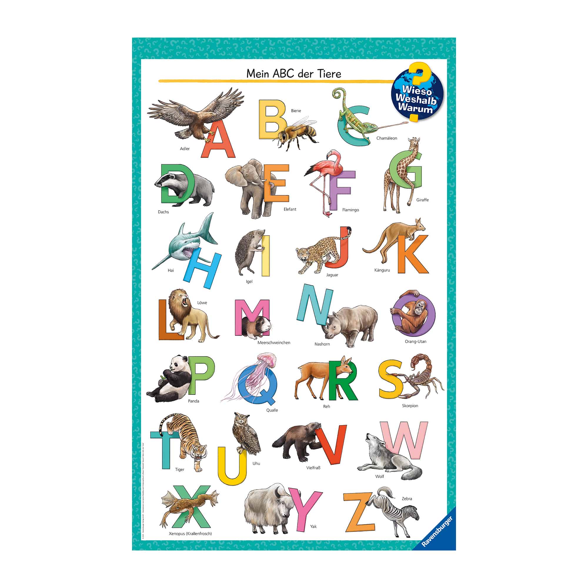 Kindersachbücher, Ravensburger, Mehrfarbig – Produktansicht