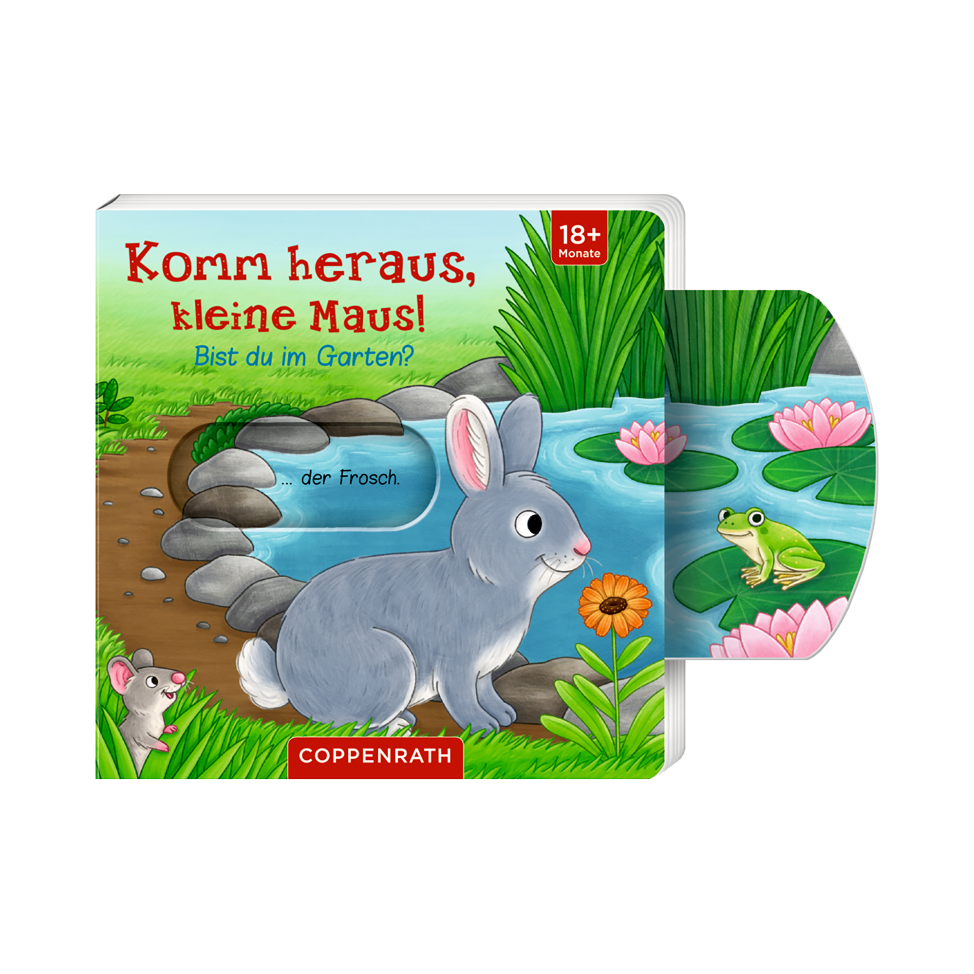 Kinderbücher, COPPENRATH, Grün – Produktansicht