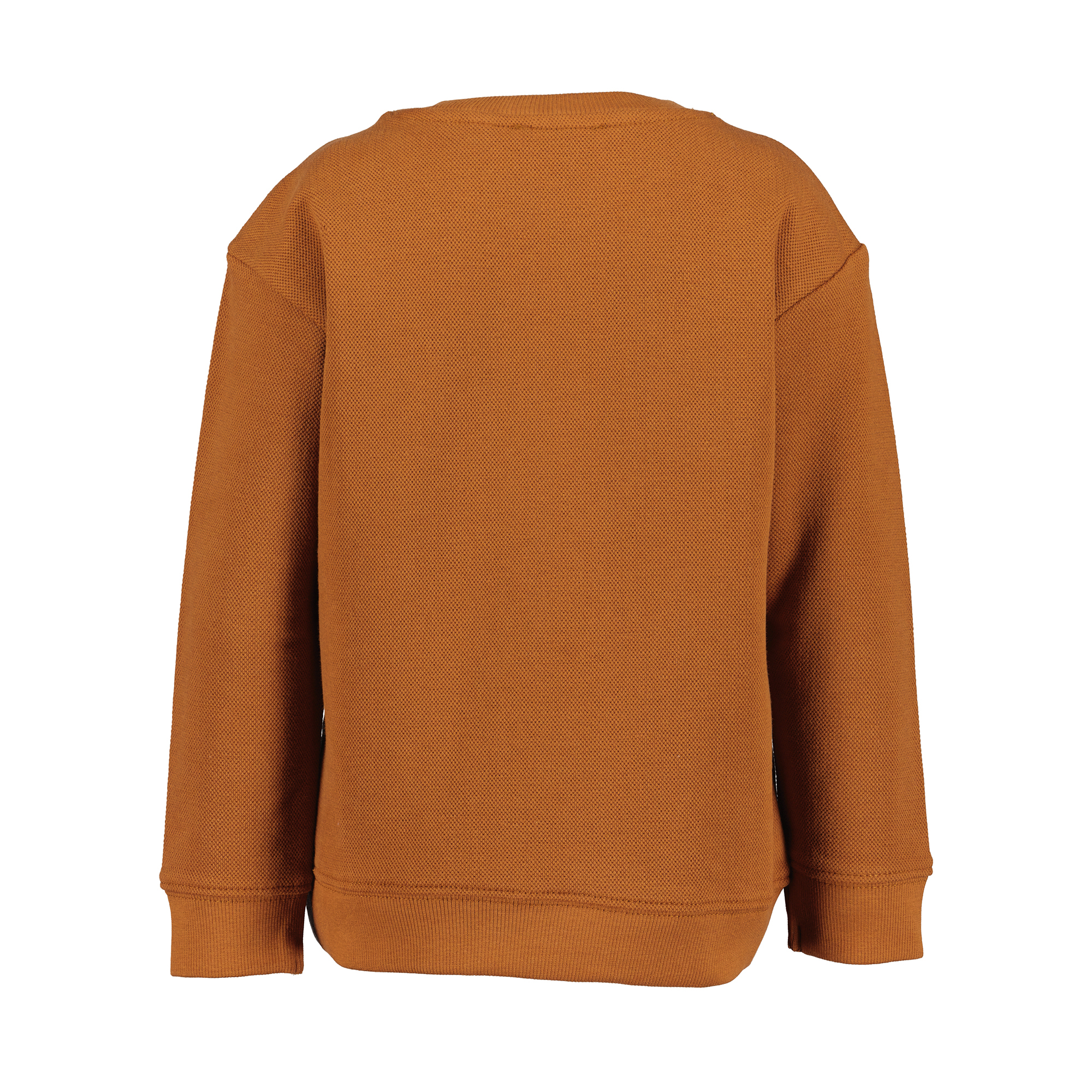 Pullover & Sweatshirts, blue seven – Produktansicht