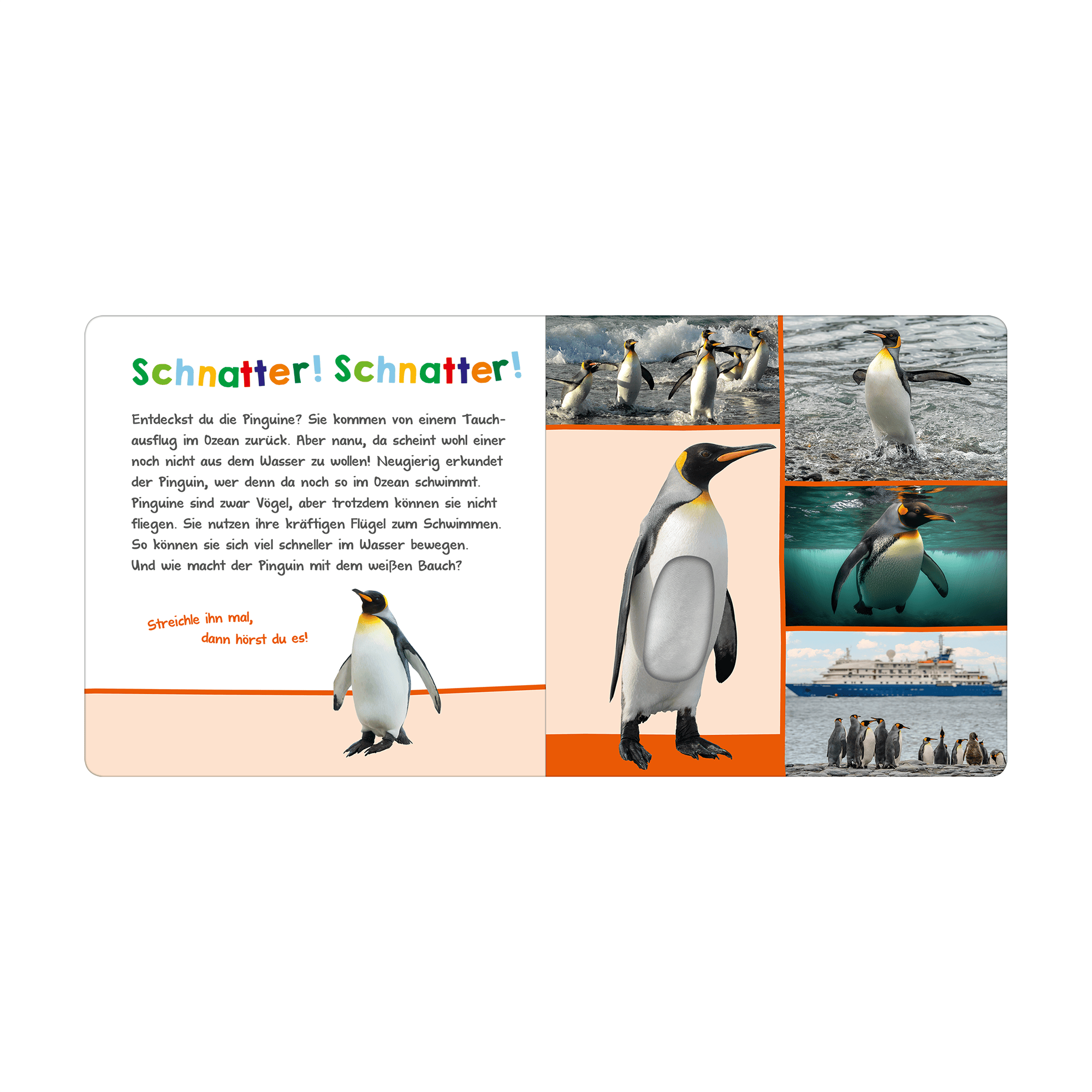 Soundbücher, arsEdition – Produktansicht