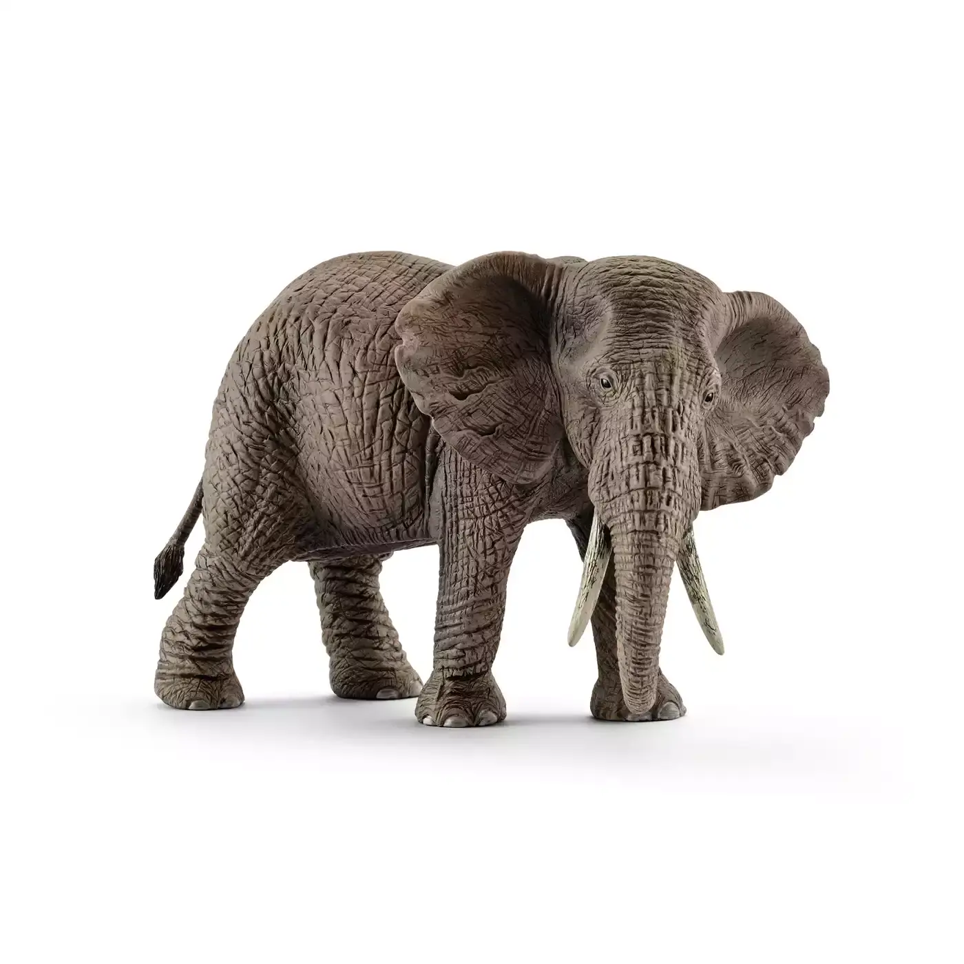 Afrikanische Elefantenkuh Schleich Grau 2000568308202 1
