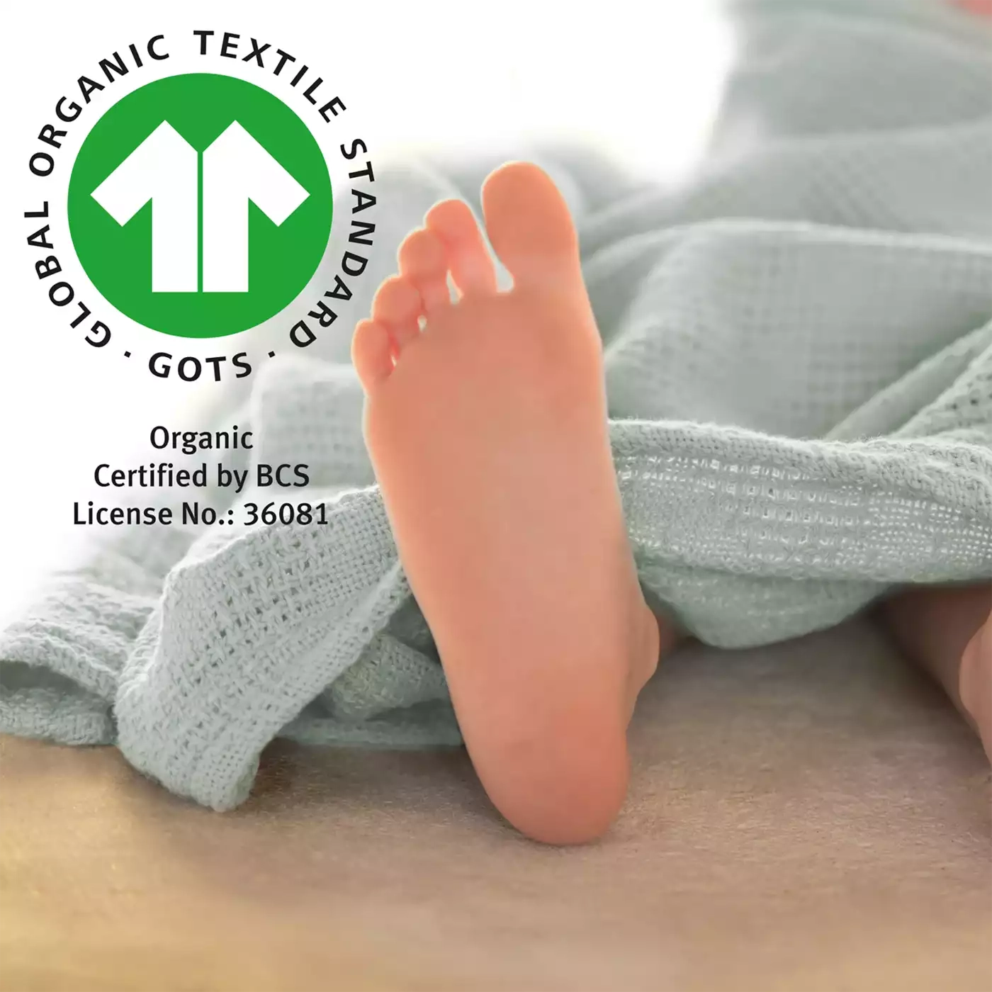 Kuscheldecken, roba, Grün – Produktansicht