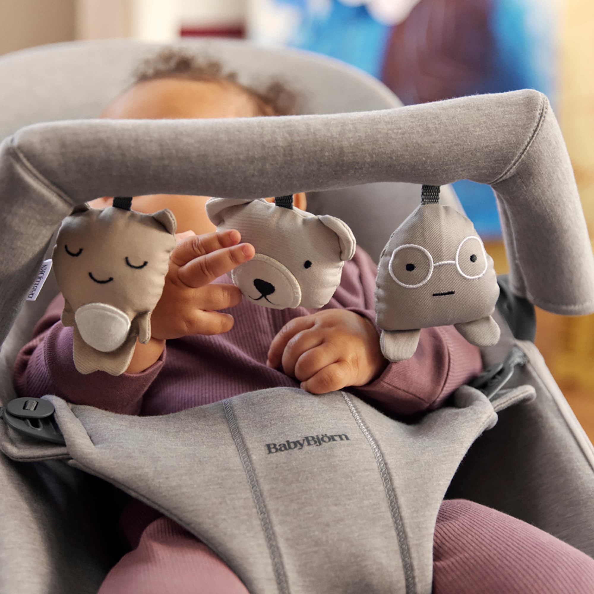 Wippen, BABYBJÖRN, Mehrfarbig – Besonderheit: für alle Babywippen von BabyBjörn geeignet