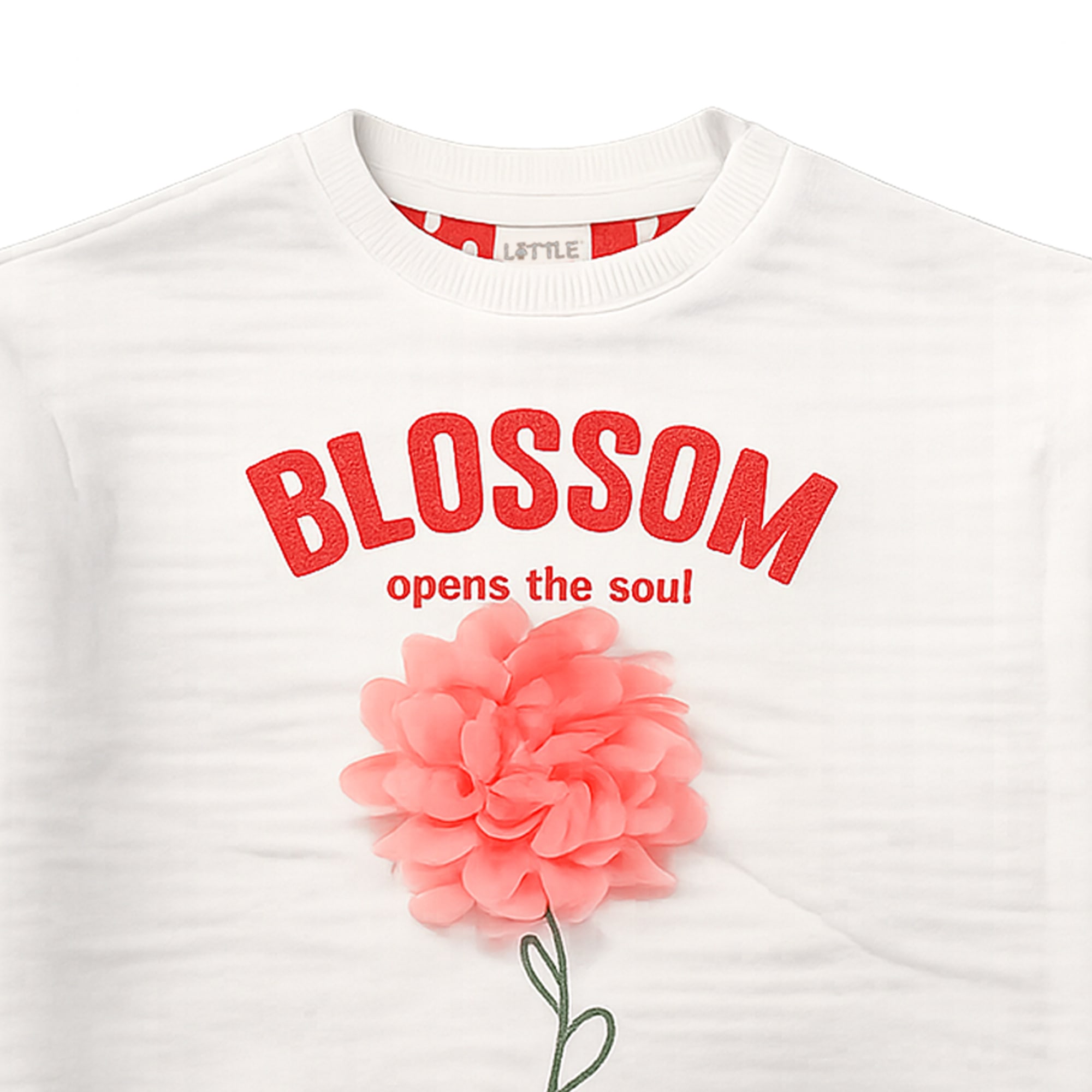 Pullover & Sweatshirts, LITTLE, Weiß – Besonderheit: aus 100% Baumwolle