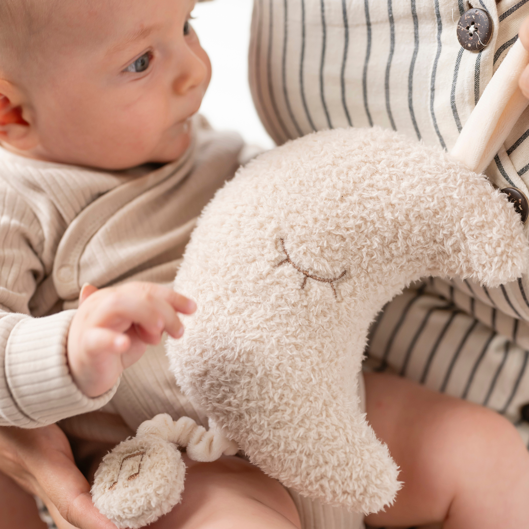 Spieluhren, Nattou, Beige – Besonderheit: kuschelweiche Teddy-Spieluhr mit "La-Le-Lu"-Melodie