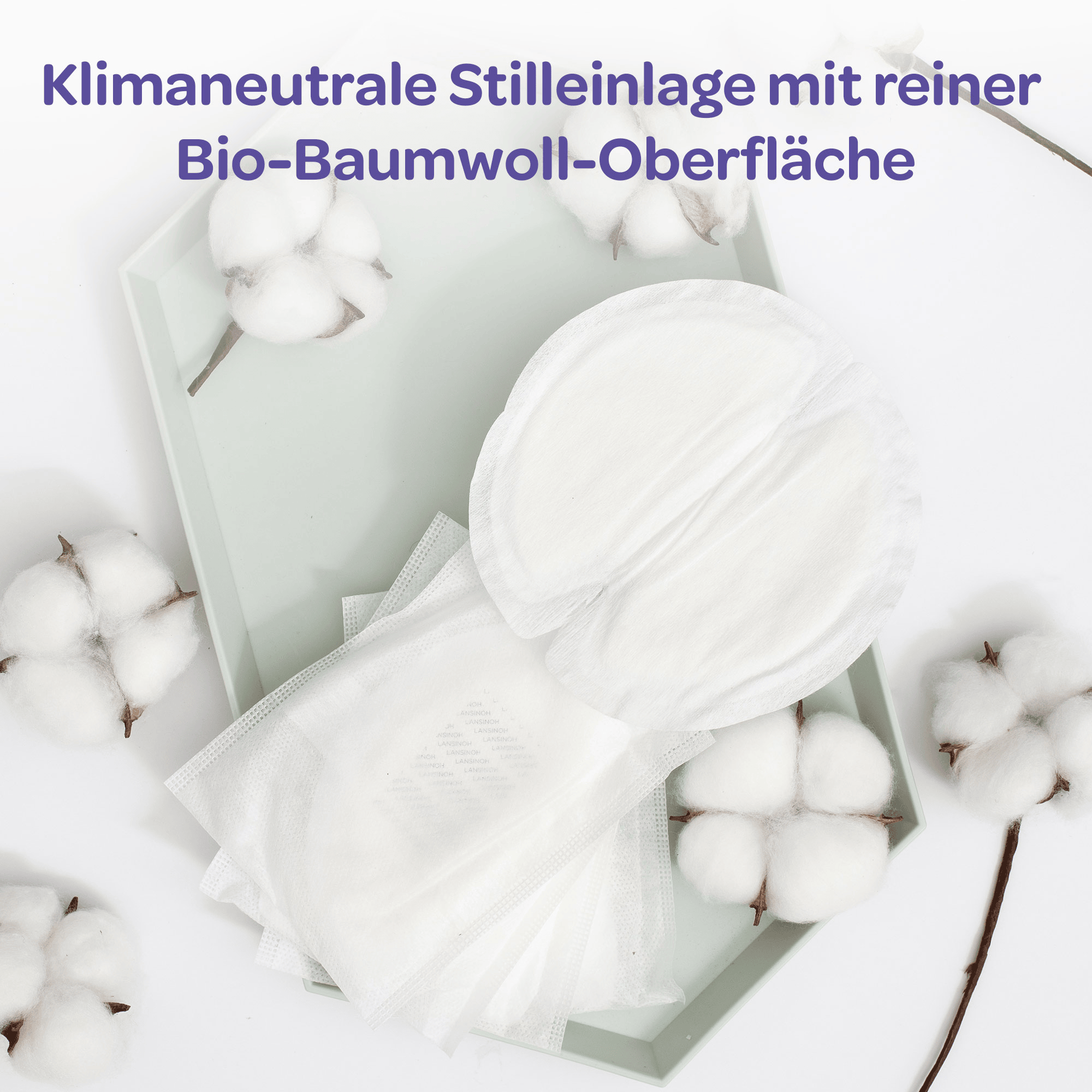 Stilleinlagen, Lansinoh – Produktansicht