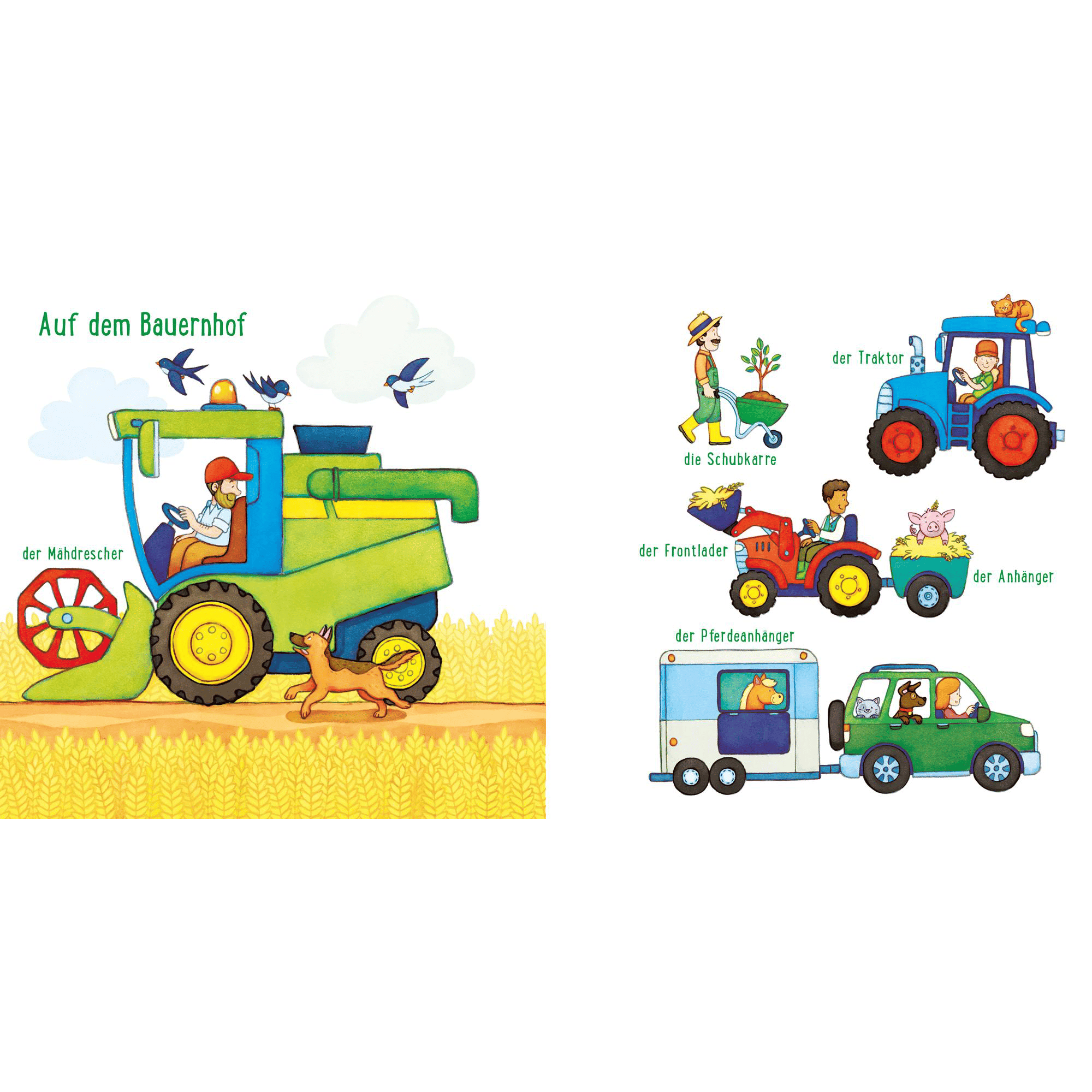 Baby Pixi Buggybuch (unkaputtbar) 134: Alle meine Fahrzeuge CARLSEN 2000584911707 2