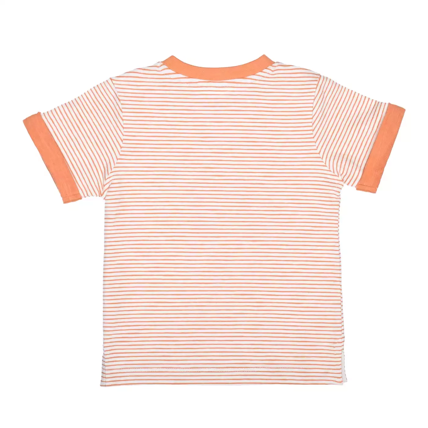 Kurzarmshirts, STACCATO – Produktansicht