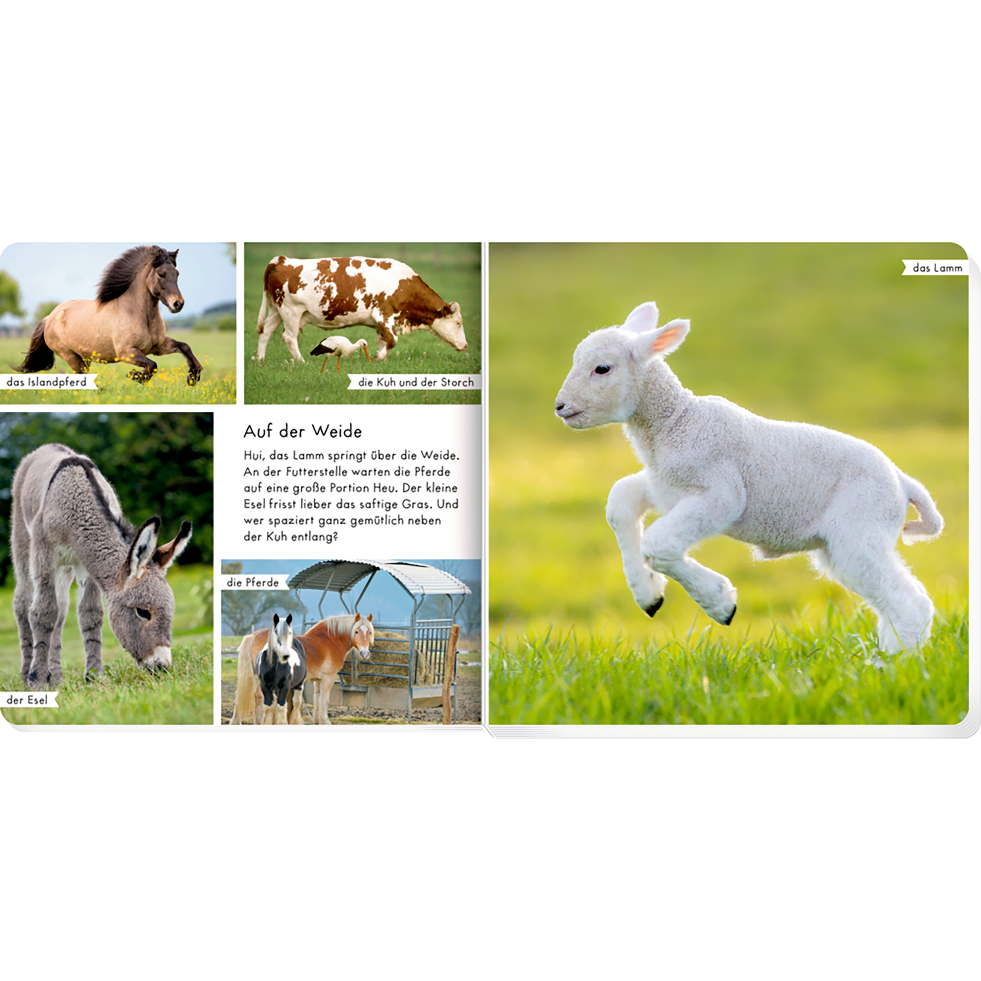 Bilderbücher, COPPENRATH, Braun – Produktansicht