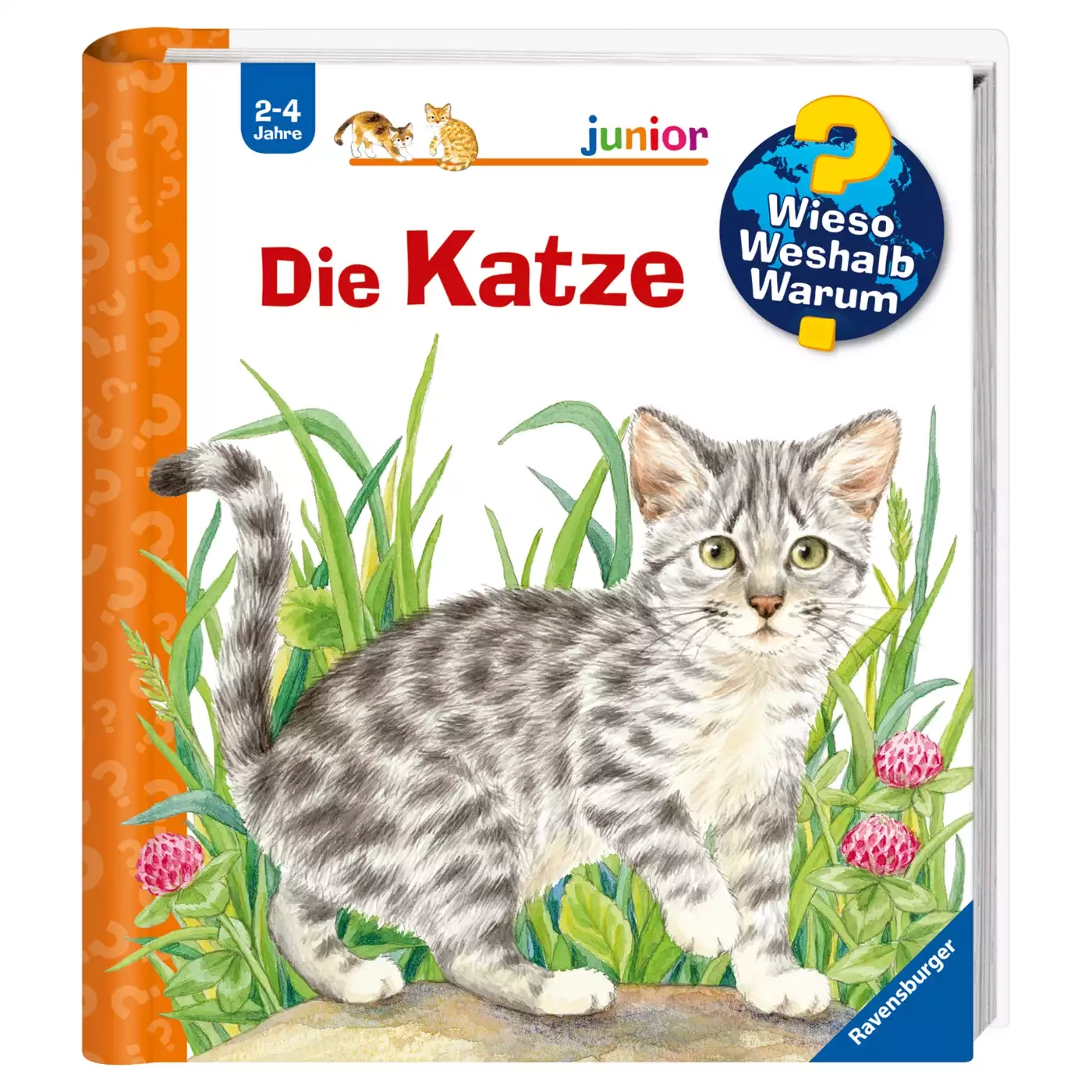 Kinderbücher, Ravensburger, Mehrfarbig – Produktansicht