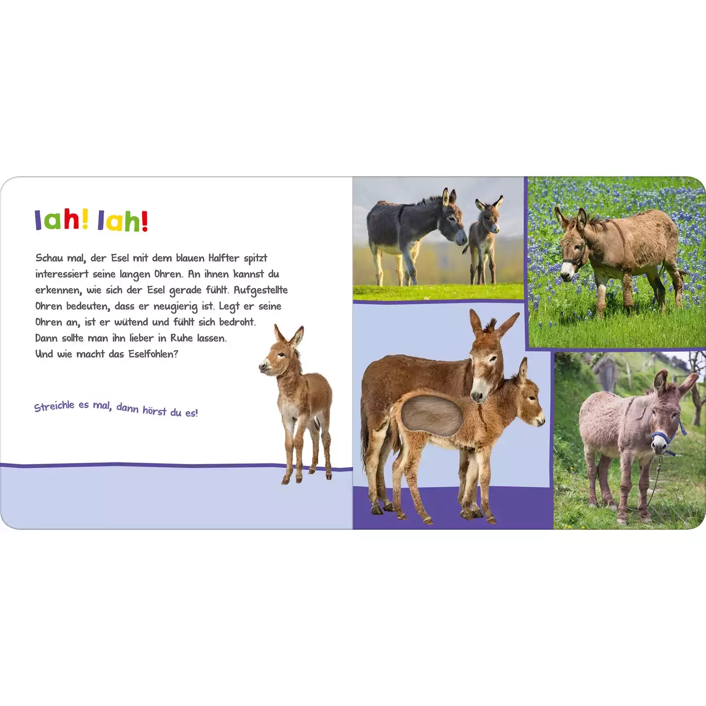 Kinderbücher, arsEdition, Weiß – Produktansicht