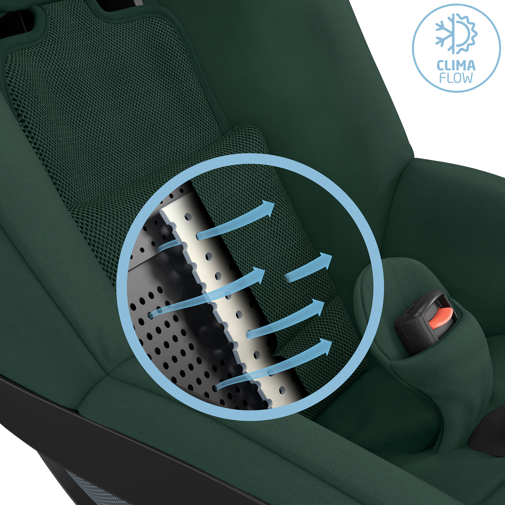 Kindersitze 9-18 kg, Gruppe 1, MAXI-COSI, Grün – Produktansicht