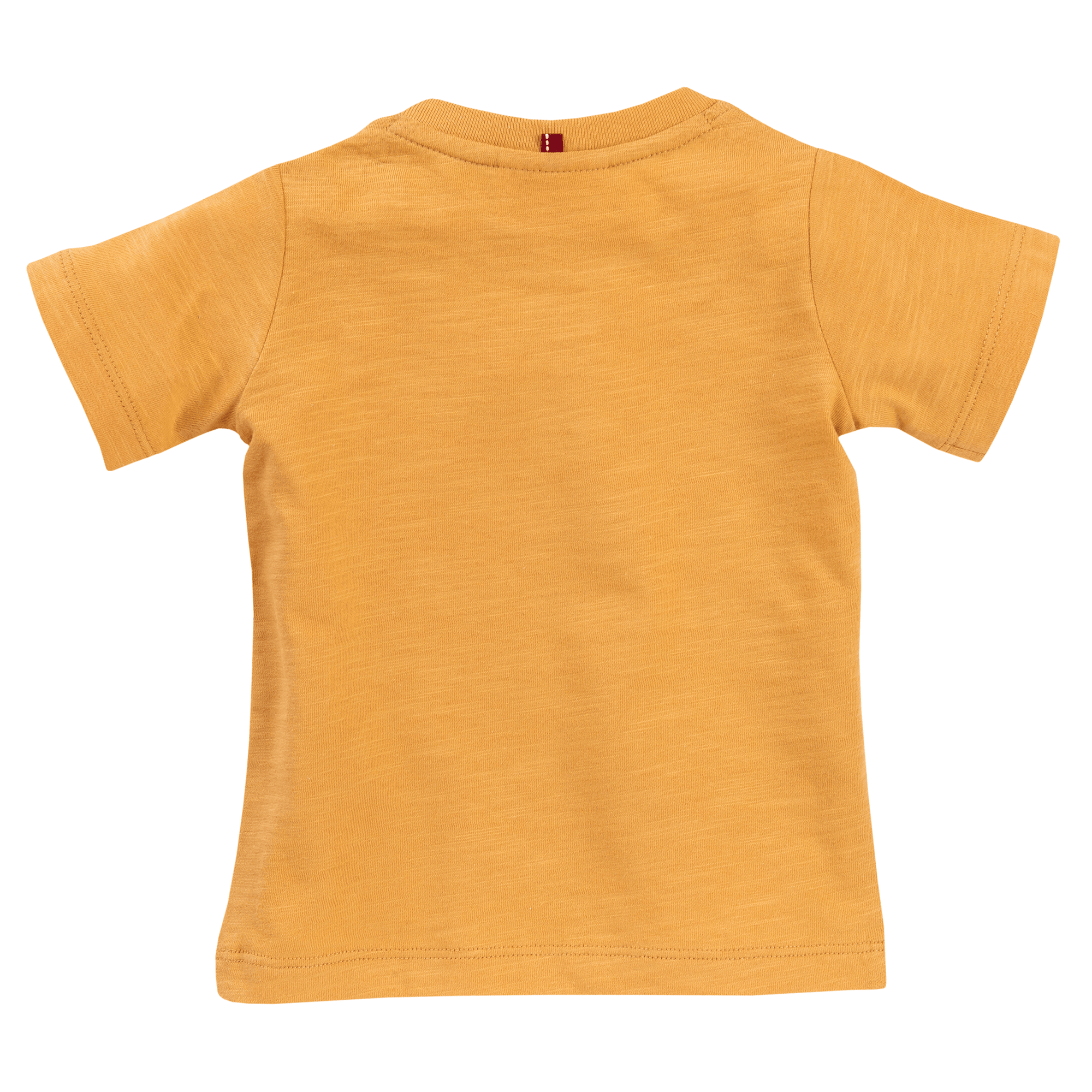 Kurzarmshirts, People Wear Organic - o – Produktansicht