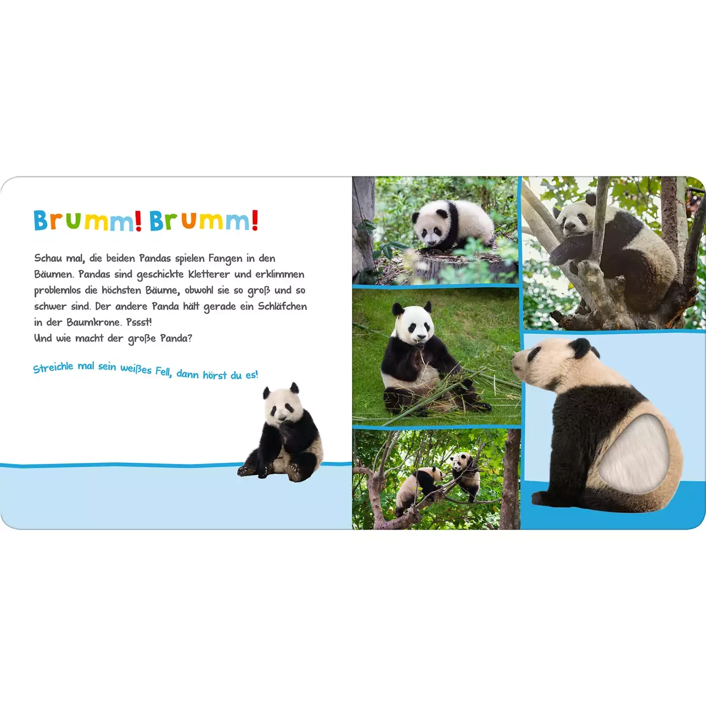 Kindersachbücher, arsEdition, Weiß – Produktansicht