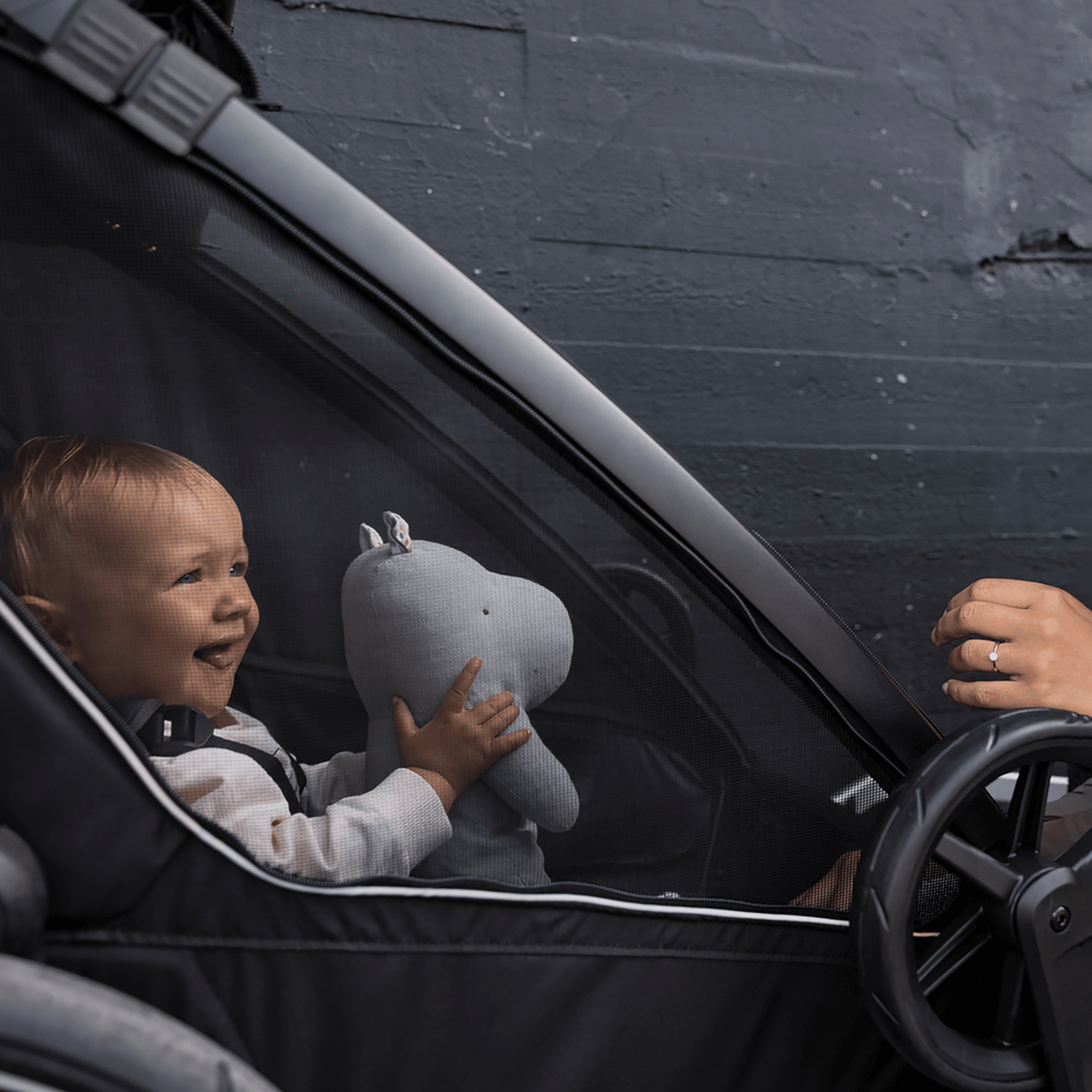 Fahrradanhänger, THULE, Schwarz – Produktansicht