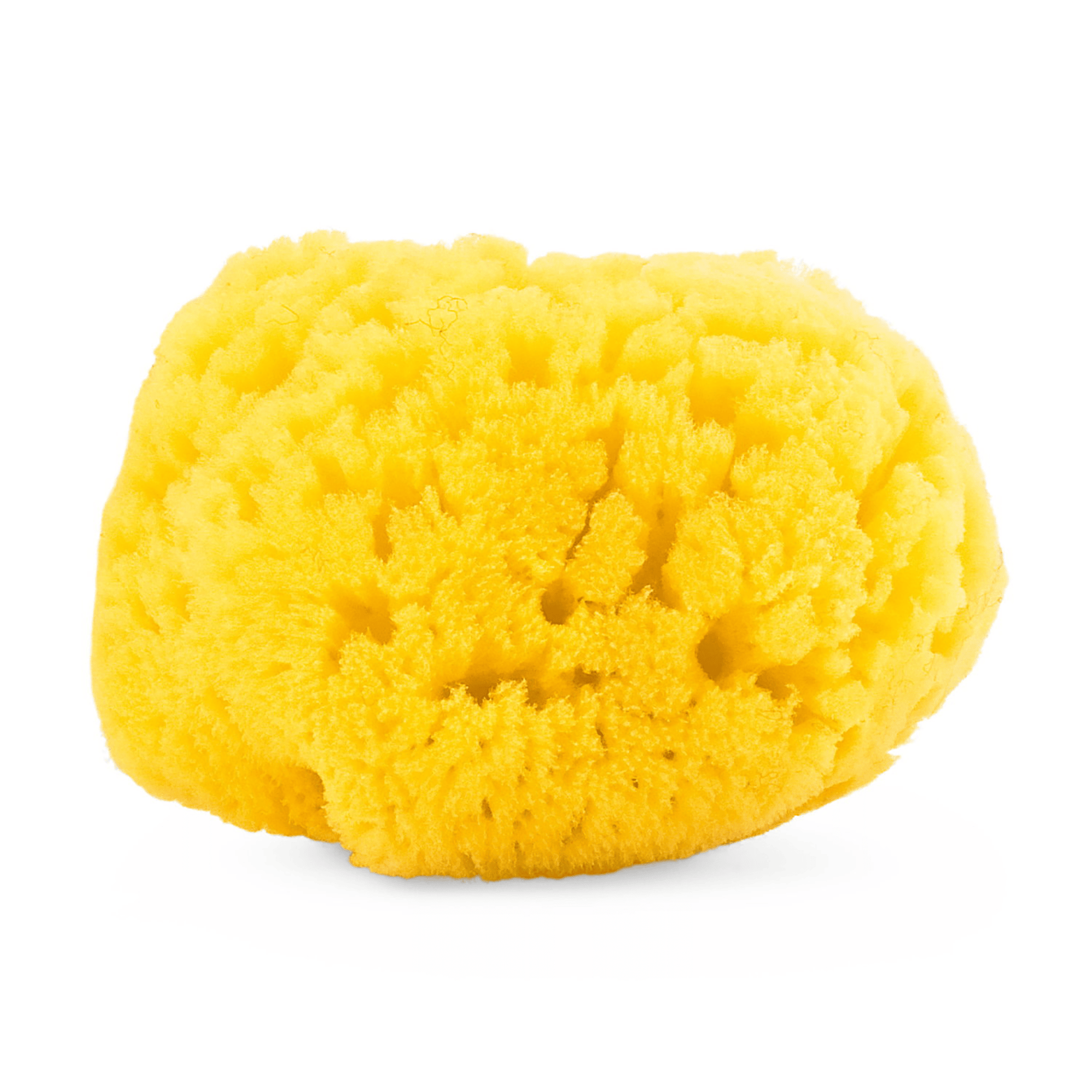 Körperpflege, chicco, Gelb – Besonderheit: natürlich gewachsener Meeresschwamm