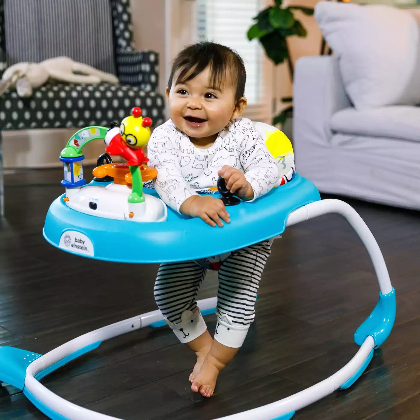 Lauflernwagen, baby einstein – Produktansicht