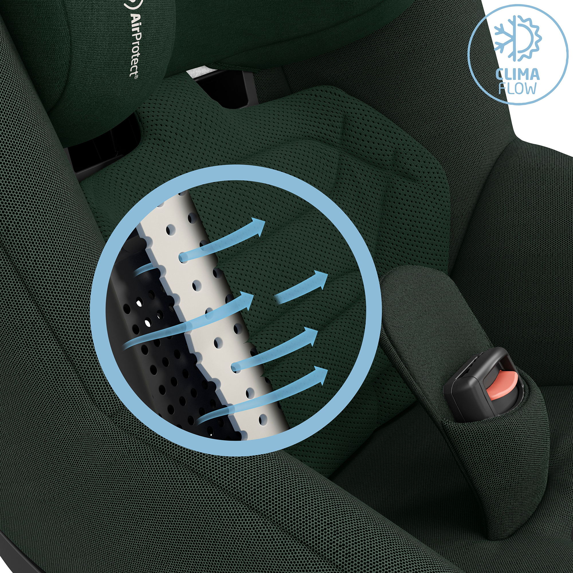 Reboarder 0-18 kg, Gruppe 0+/1, MAXI-COSI Premium, Grün – Produktansicht