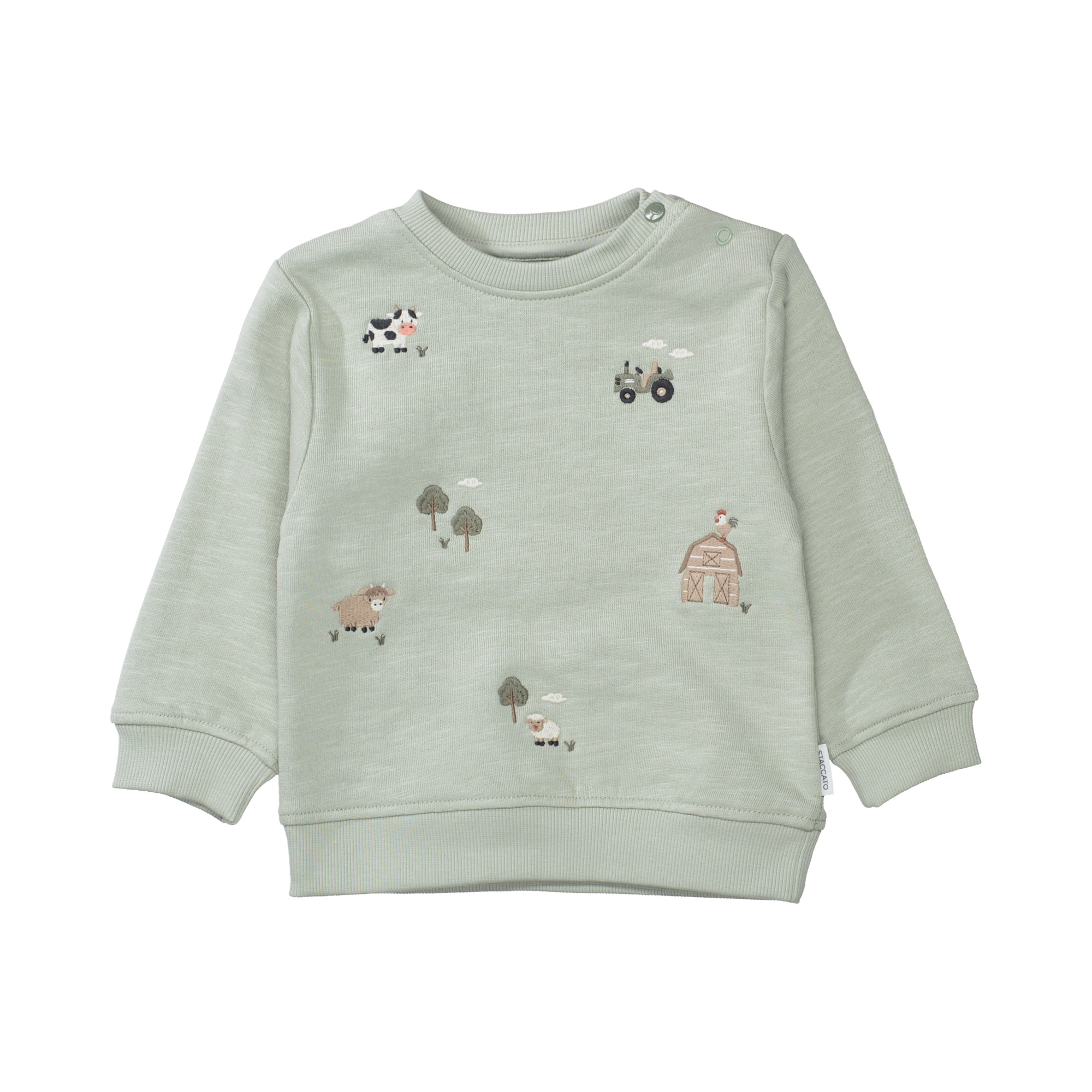 Pullover & Sweatshirts, STACCATO, Grün – Produktansicht