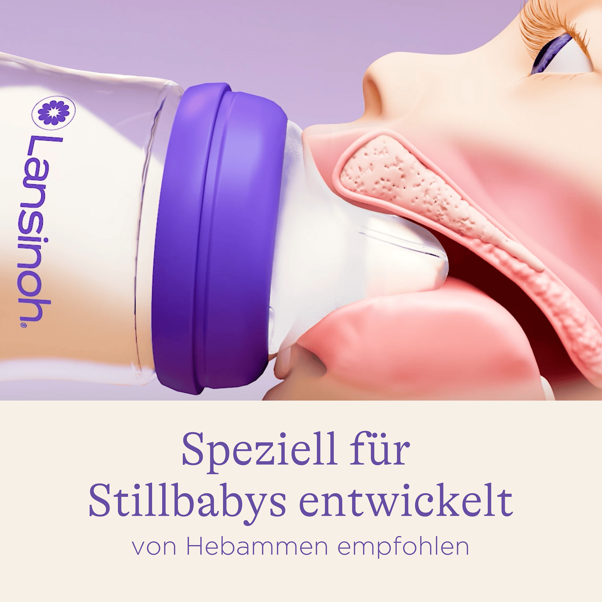 Babyfläschchen, Lansinoh, Transparent – Produktansicht