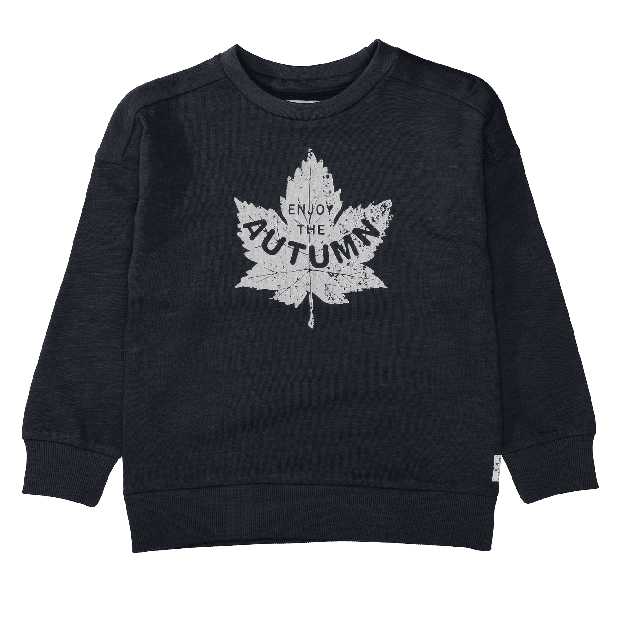 Pullover & Sweatshirts, BASEFIELD – Produktansicht
