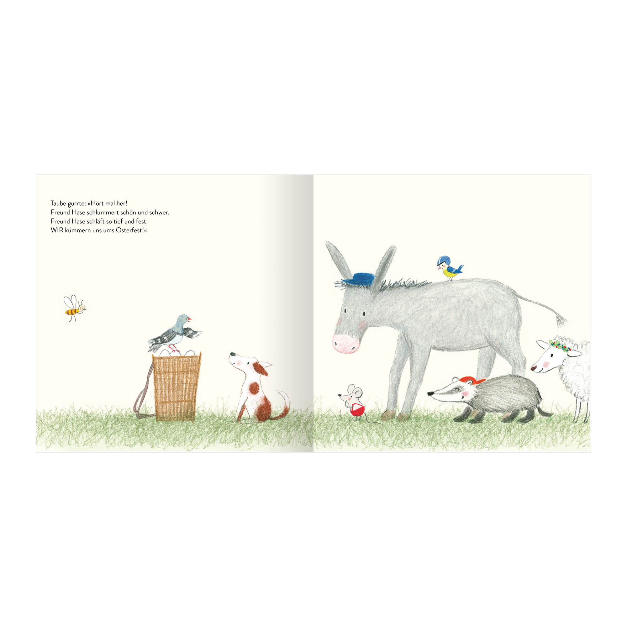 Kinderbücher, arsEdition, Grün – Produktansicht