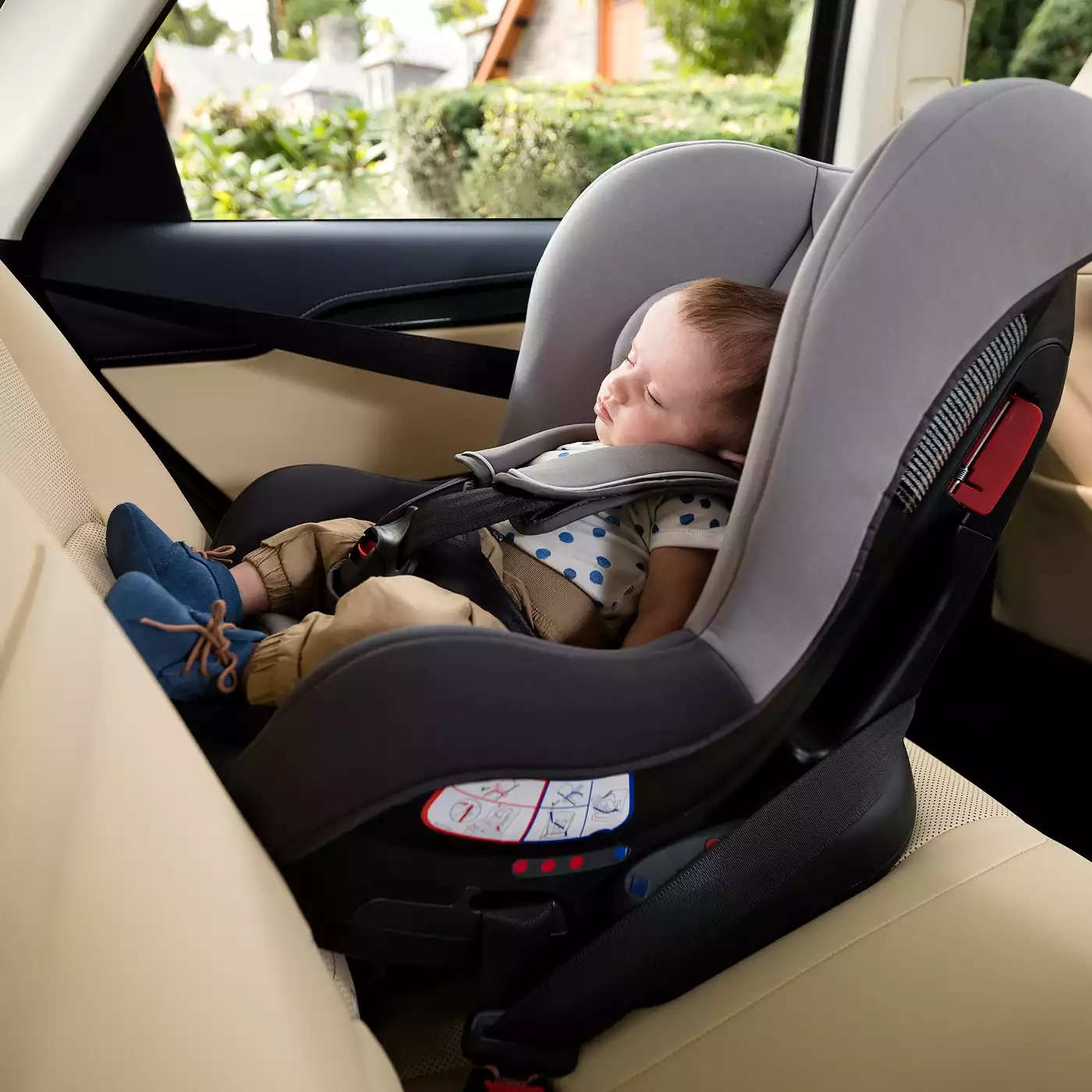 Reboarder 0-18 kg, Gruppe 0+/1, GRACO – Produktansicht