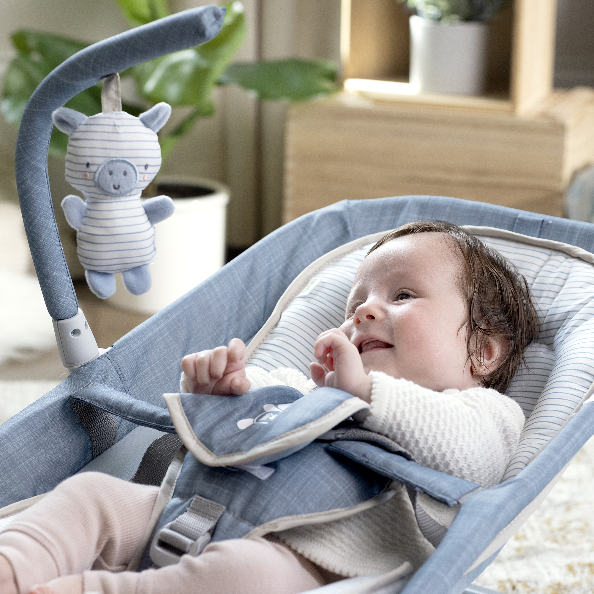 Wippen, ingenuity, Grau – Produktansicht