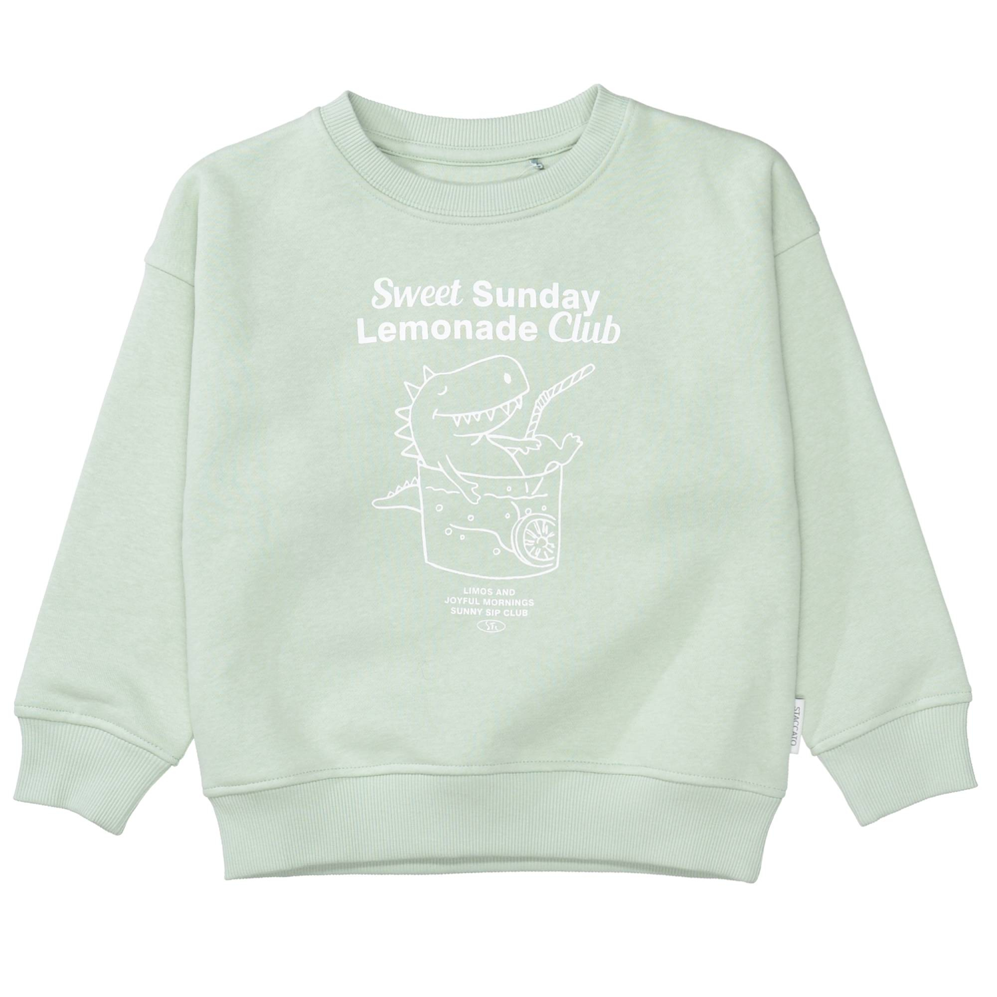 Pullover & Sweatshirts, STACCATO, Grün – Produktansicht