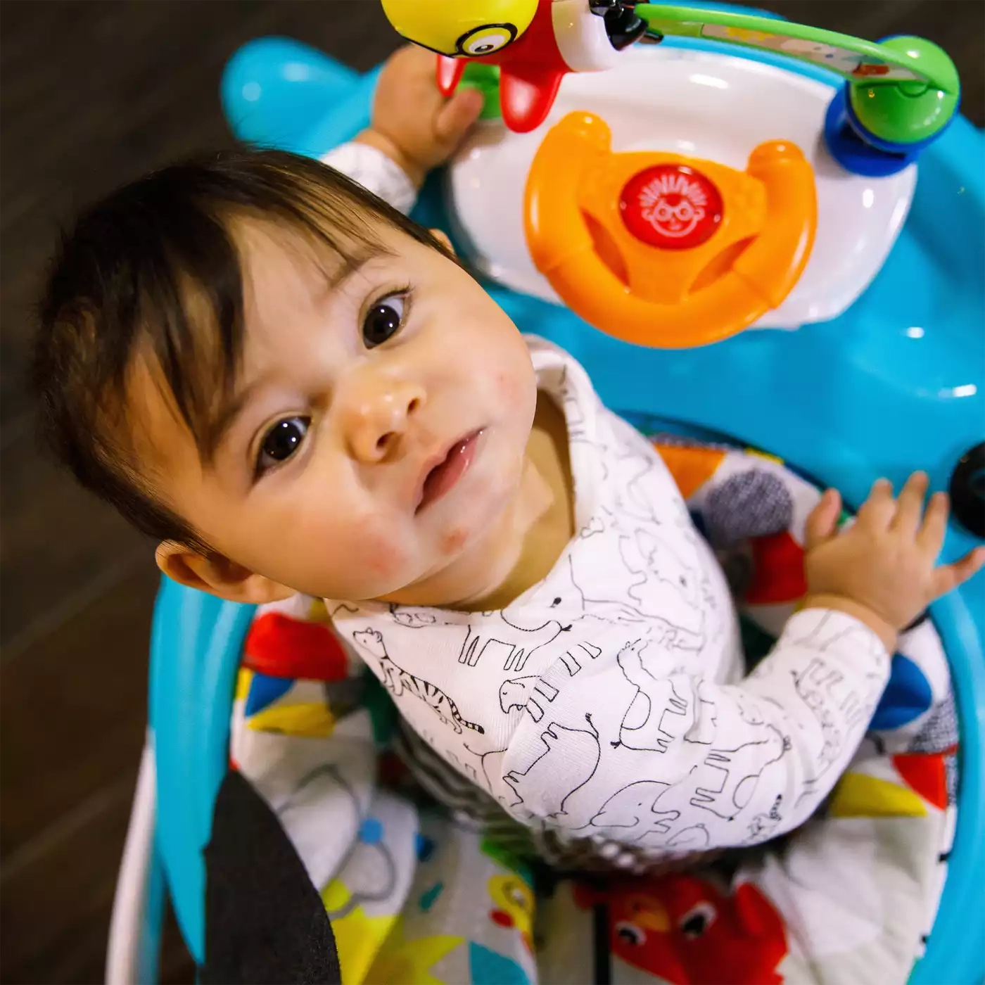 Lauflernwagen, baby einstein – Produktansicht
