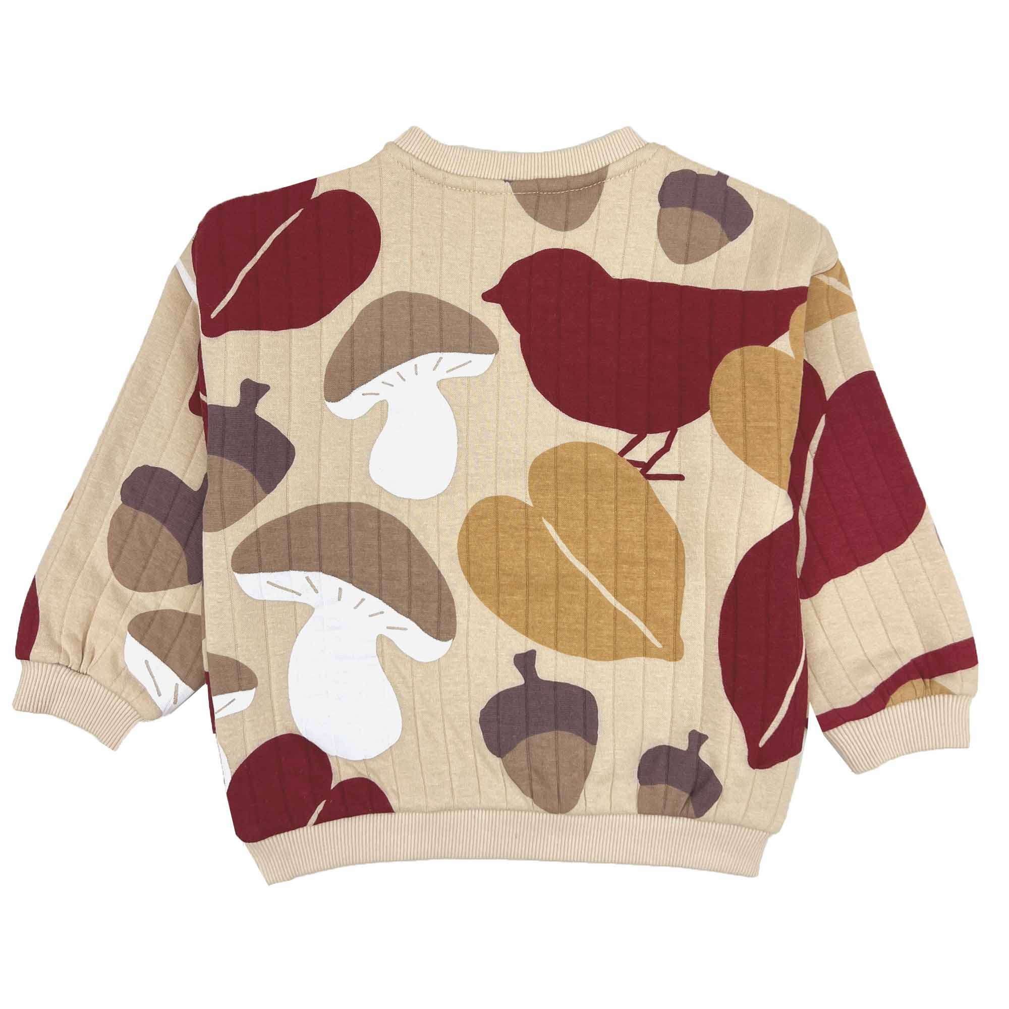 Sweatshirt Autumn LITTLE Beige M2000585057305 2