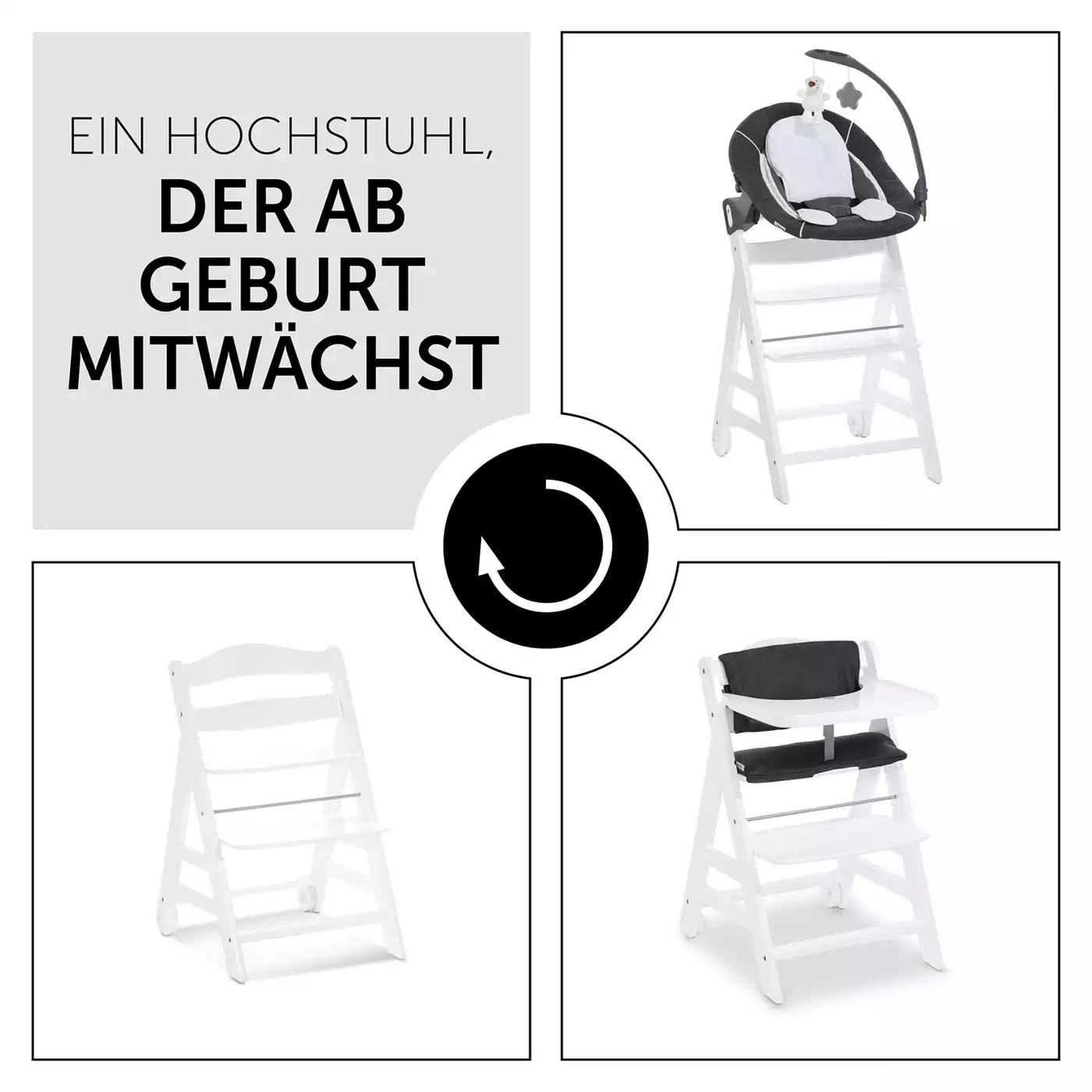Treppenhochstühle, hauck, Mehrfarbig – Produktansicht