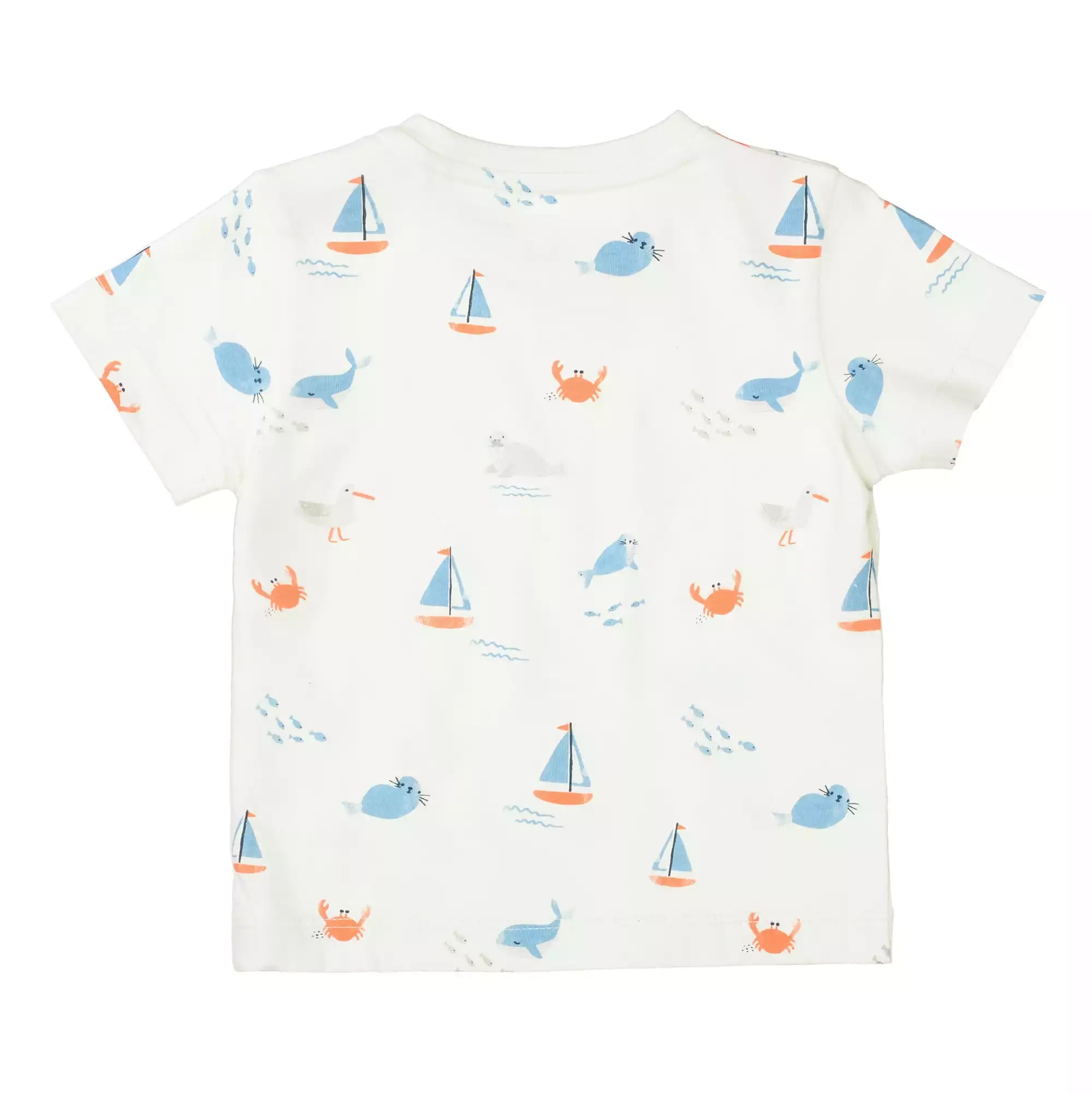 Kurzarmshirts, STACCATO – Produktansicht