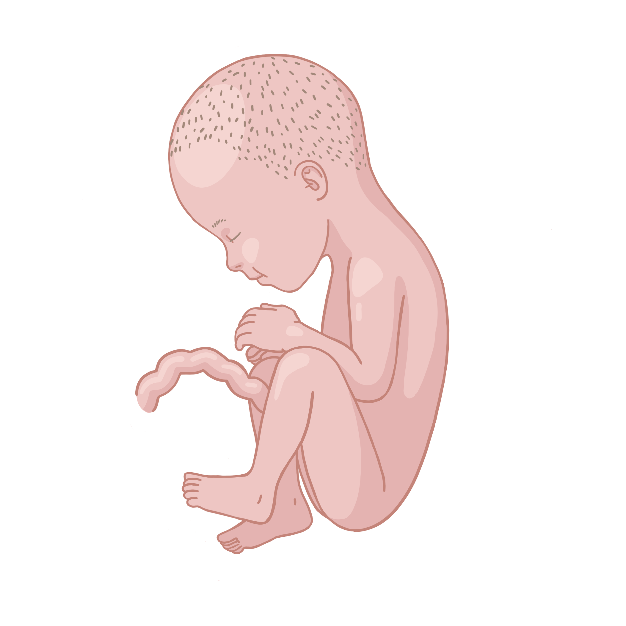 Baby ein, das mit den händen auf den knien auf.