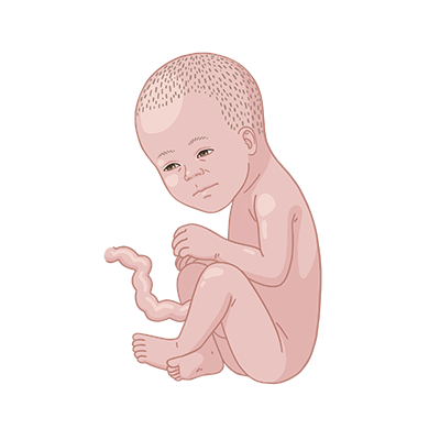 Baby ein, das auf dem boden sitzt, mit den händen.