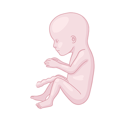 Baby ein, das auf dem boden sitzt.