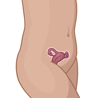 Schwangerschaftswoche 5