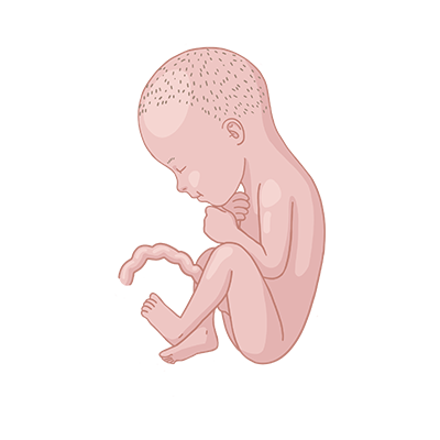 Baby ein, das mit seinen händen auf der brust auf.